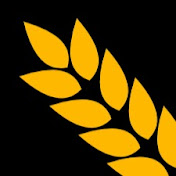 channels4_profile